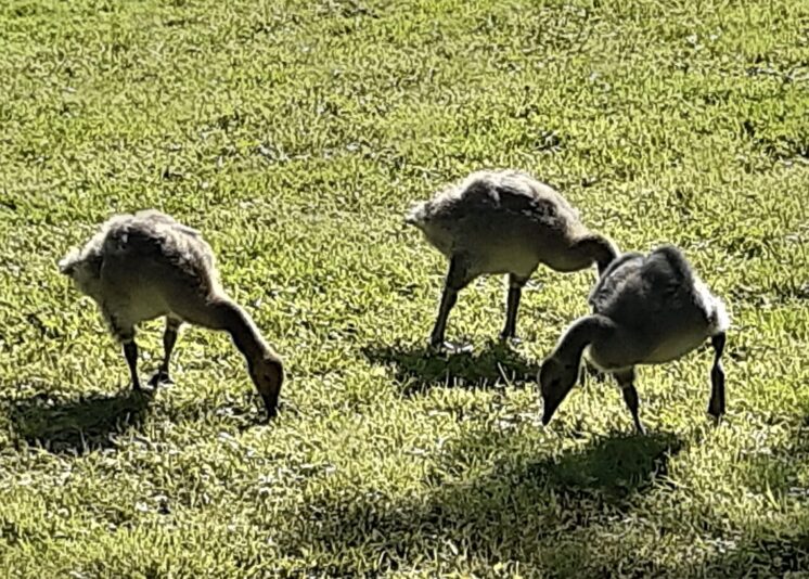 68E2E850-E0EA-4F02-95DA-9889C313643F