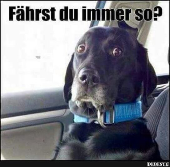 b9a52f8a7fc7a24771847b7740207f116057