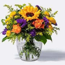 images (10)