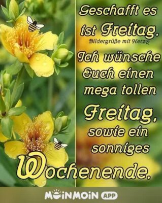 506789226_1221250002799848_4154914809964271621_n