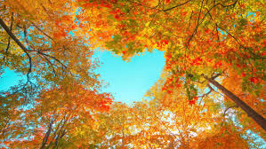 images (77)