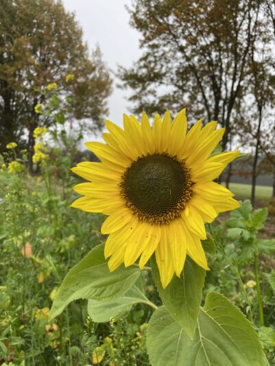 3AD980E2-B41D-4703-A37B-3F876EC0E028