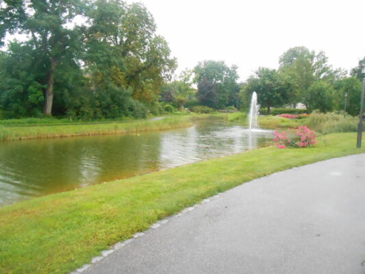 DSCN1315 (1)