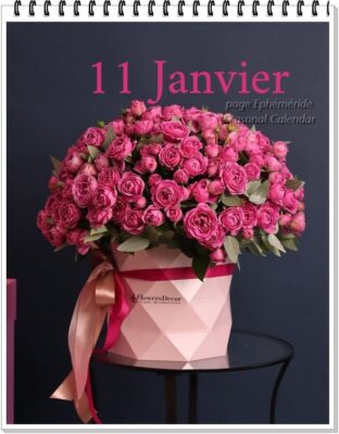 271706726_4995388017177921_2884015715321423250_n