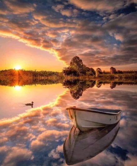 169926195_1200853297035641_1972865987063301373_n