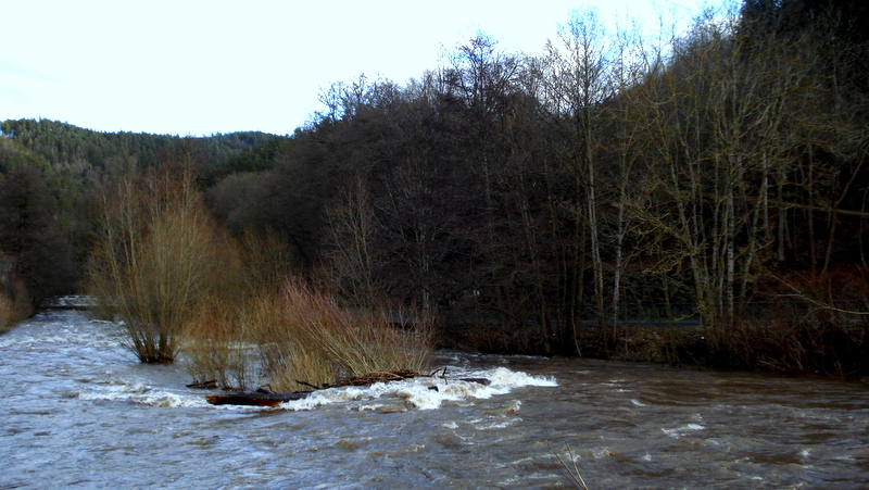 DSC06681