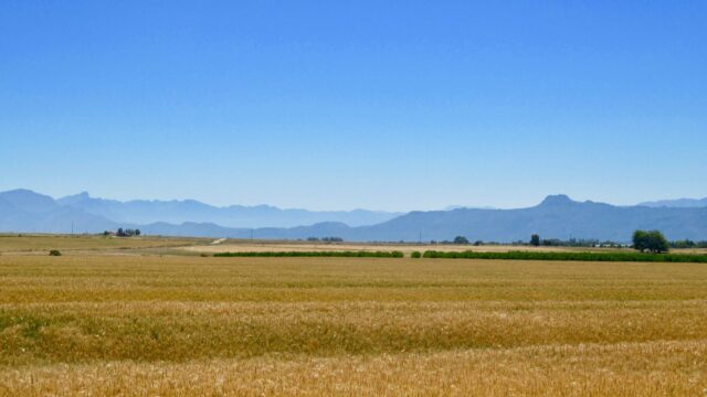 IMG_0130 (5)