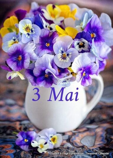 180928605_479253050070275_1358299405324896575_n (1)