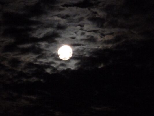 Mond