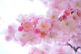 images (18)