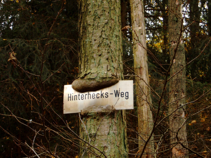 DC4300 Digital Camera