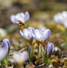 images (27)