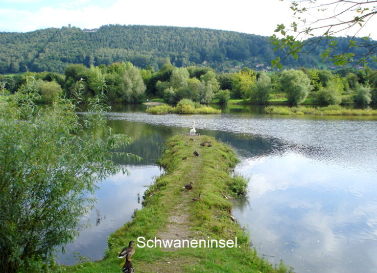 Schwaneninsel.