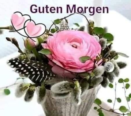 427699169_1193329541831521_4111407639140056782_n