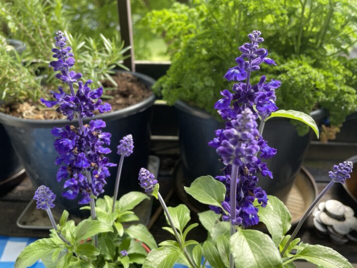 CE472FD1-E4DC-4D09-BFE4-33BC651749C8