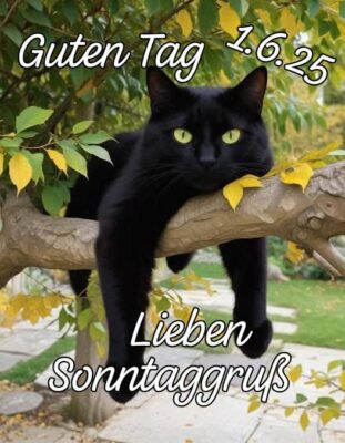 502417458_690926807128744_5882180124055831154_n (1)