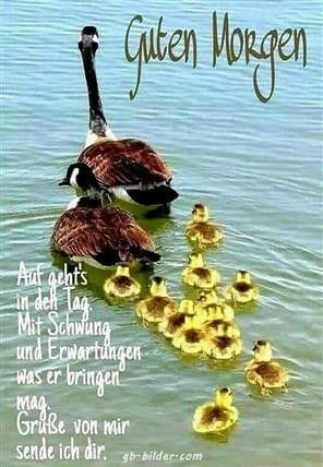 178232897_502864574175090_1838556061033823026_n (1)