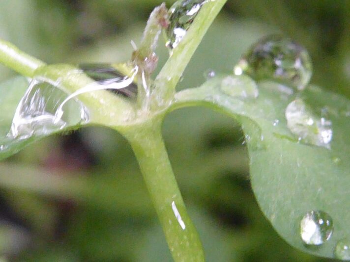 20.8.2022 Samstag (18)