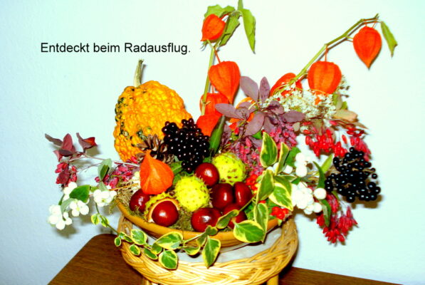 Entdeckt beim Radausflug.