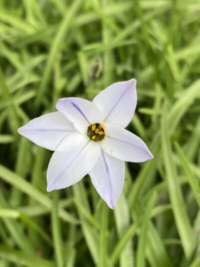 9EEB100F-36B4-4CED-B29B-0EFDB88CD8E2