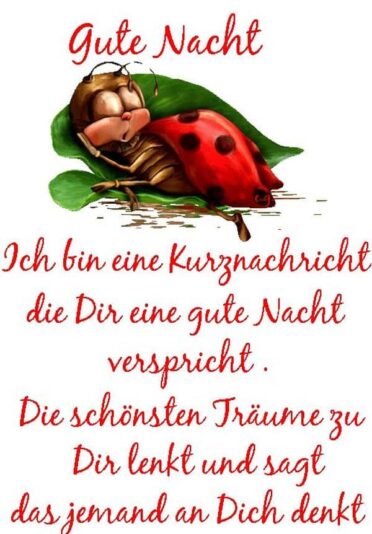 sube-gute-nacht-grube-mein-schatz-6
