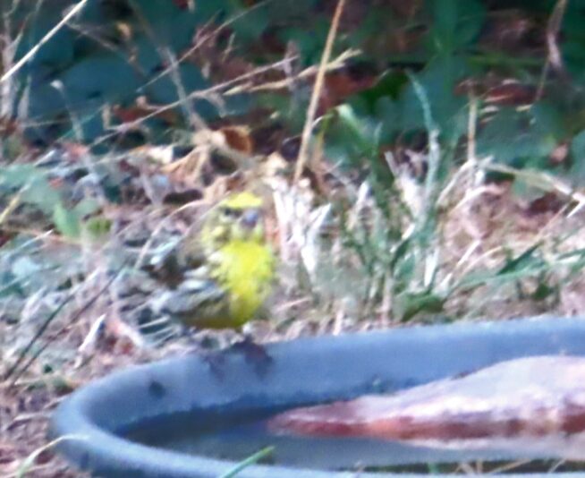 20240908180826_IMG_2992