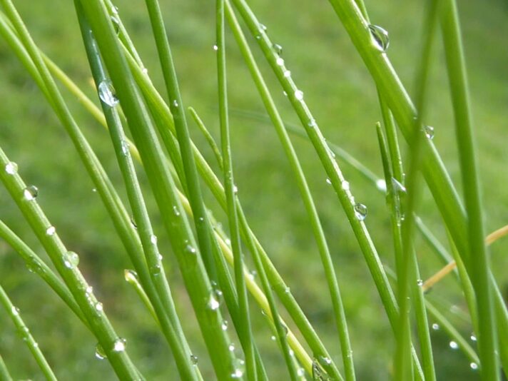 20.8.2022 Samstag (122)