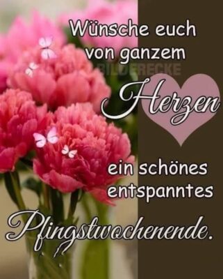 504288579_4058024714409658_3817048473506294812_n