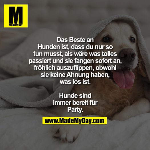 81509212_4025889607485761_7287753980195635200_n