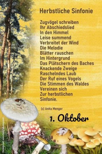 IMG_5366.JPG Verse 1. Oktober