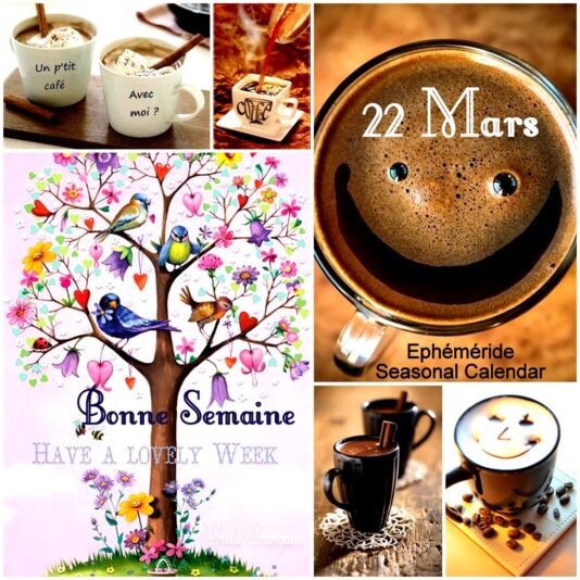 163226856_4067594019957330_2485616411842075001_o