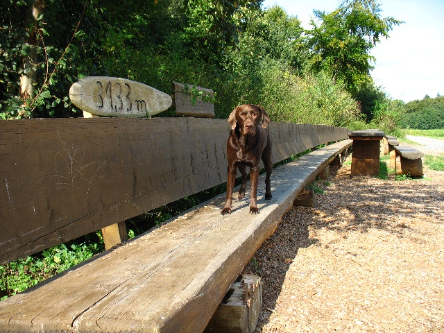 CREATOR: gd-jpeg v1.0 (using IJG JPEG v80), quality = 95