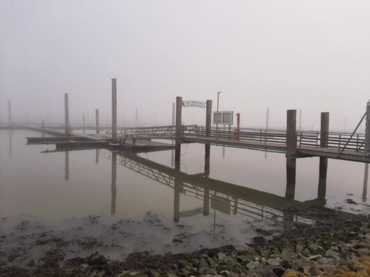 IMG-20210228-WA0002