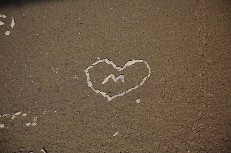 radtour vogelsand und sperrmauer (7)