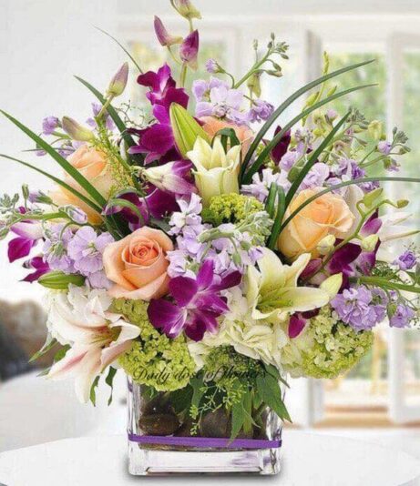 156032976_2967421653477433_4158564998212769734_n