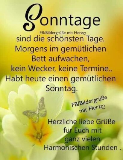 177534209_271995674646749_2051788259415153607_n (1)