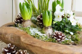 images (6)