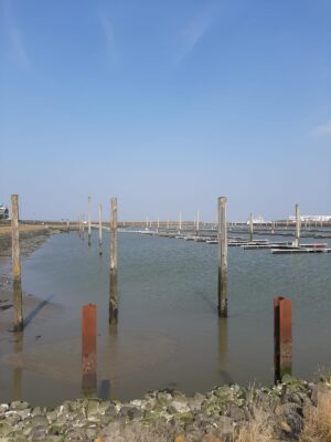 IMG-20210324-WA0000