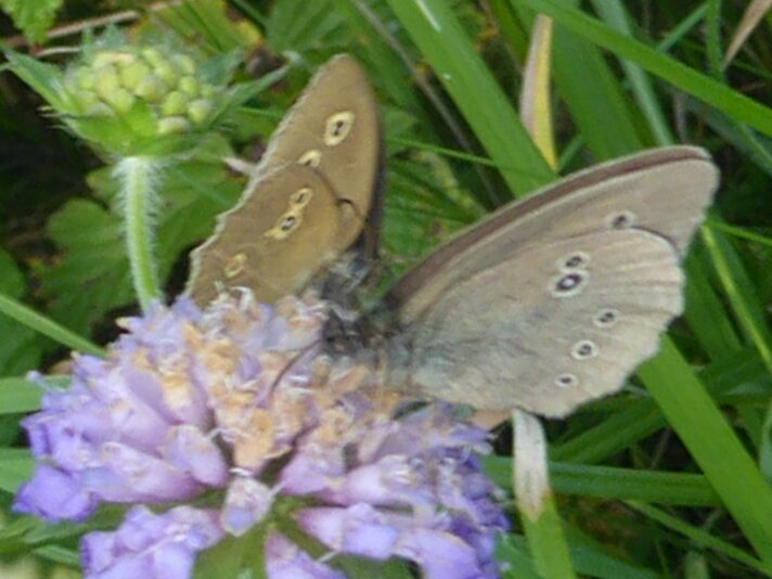 9.7.2022 Fitness (56)