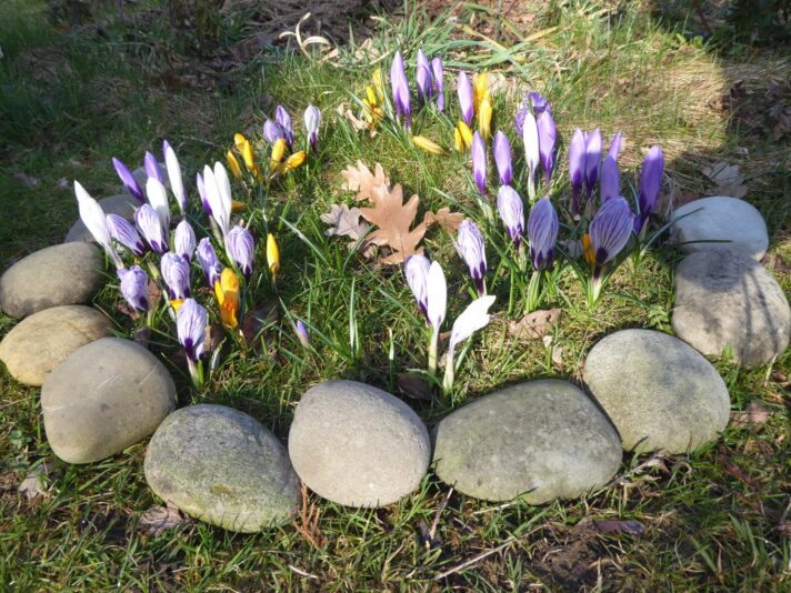 28.3.2021 früh, Sommerzeit und Palmsonntag (22)