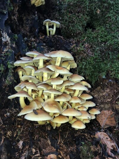 882E3D9A-D470-4298-847C-B40619371F1C