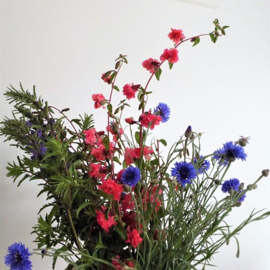 2022-07-10 blumenpflücken Wulksfelde (8)