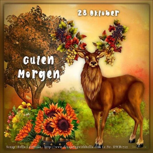 IMG_5841.JPG 28.10.24