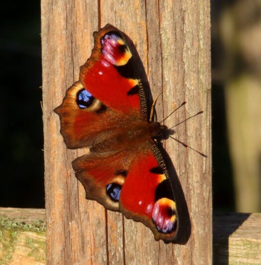 20230915154800_IMG_1999