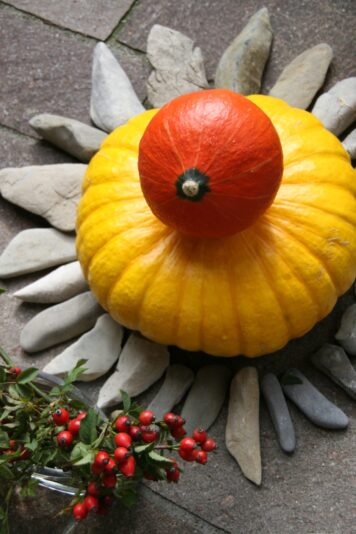 Kürnbisernte v. meinem Kompost 23.9.2009 (67)