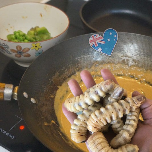 Witchatty Grub essen