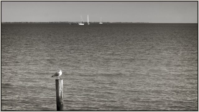 _DSC1979_HDR