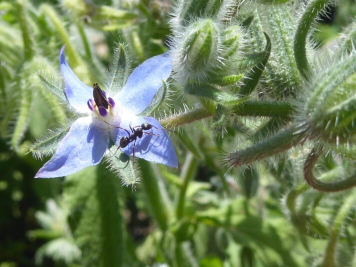 4.8.2022 E. Irina 9Uhr30 Schlossgarten (204)
