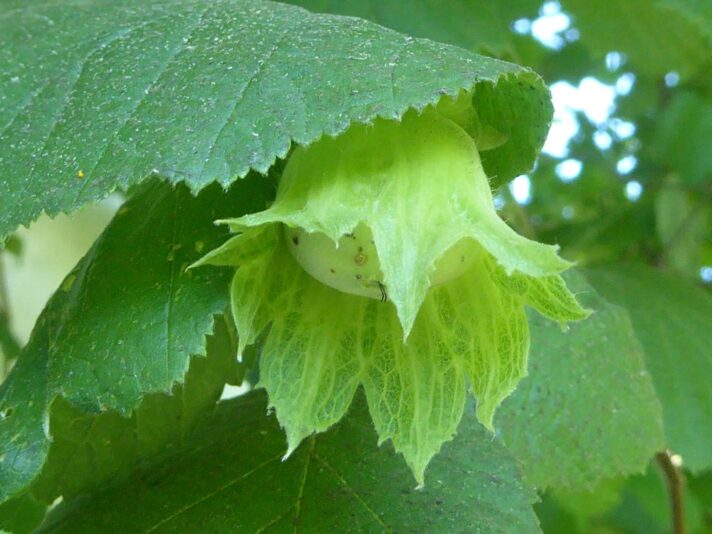 26.6.2022 Sonntag 12 Tage Corona (5)