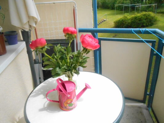DSCN1285